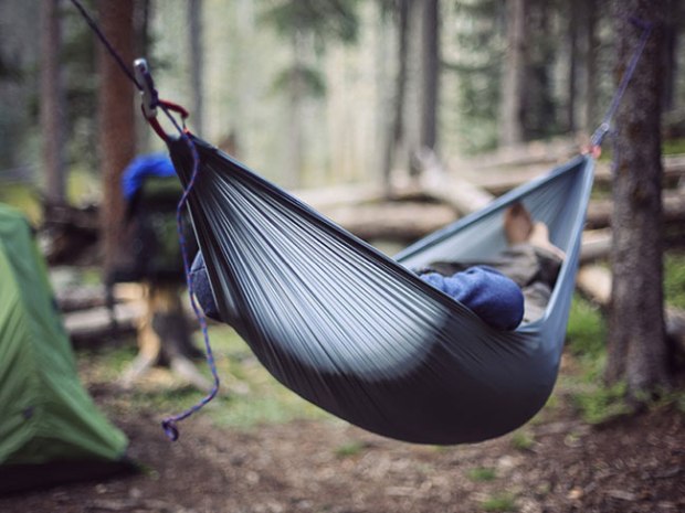 How Can You Encourage a Cat to Use a Hammock